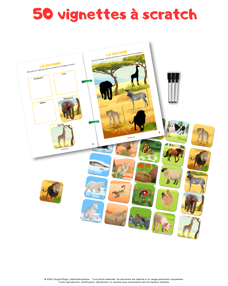 Livret d'activités Les Animaux du monde chapitomagic